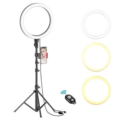 Photography LED Selfie Ring Light 10inch Dimmable Camera Phone Ring Lamp With 2.1m Stand Tripods For Makeup Video Live Studio