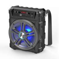 Hot Selling 8 Inch Portable Speaker with Strap, USB Port, TF Slot, Bluetooth, FM, RGB Woofer Light